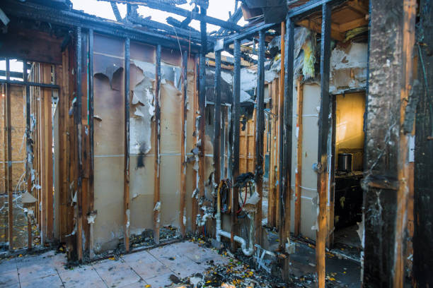 Professional Smoke Damage Removal technician working in Jessup, PA